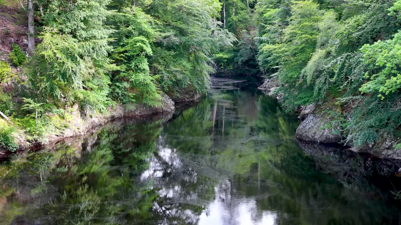 Aerial camera moves slowly above calm forest river, lush green trees reflected in water