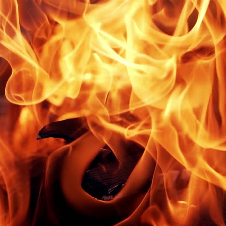 beautiful slow motion of orange flame. vivid flame from burning firewood. bright fire outdoors. close-up.