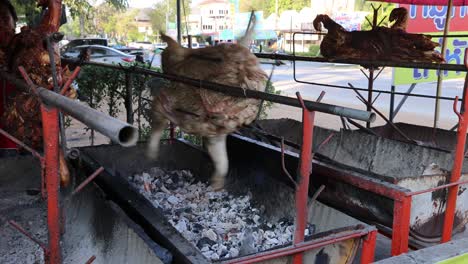 a cat jumps over gaps in a scaffold structure.