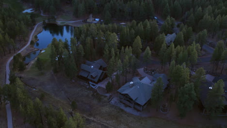 aerial view of isolated american residential community in woods and green landscape at daybreak, drone shot