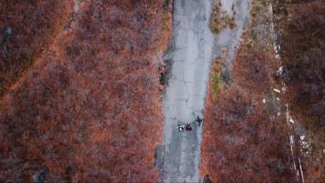 Toma-Aérea-De-Arriba-Hacia-Abajo-De-Un-Grupo-De-Amigos-Caminando-Por-Un-Camino-De-Pavimento-Roto-A-Fines-Del-Otoño