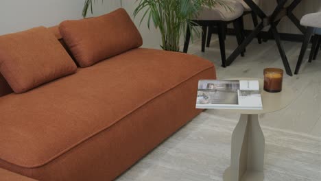 modern orange sofa in a stylish living room