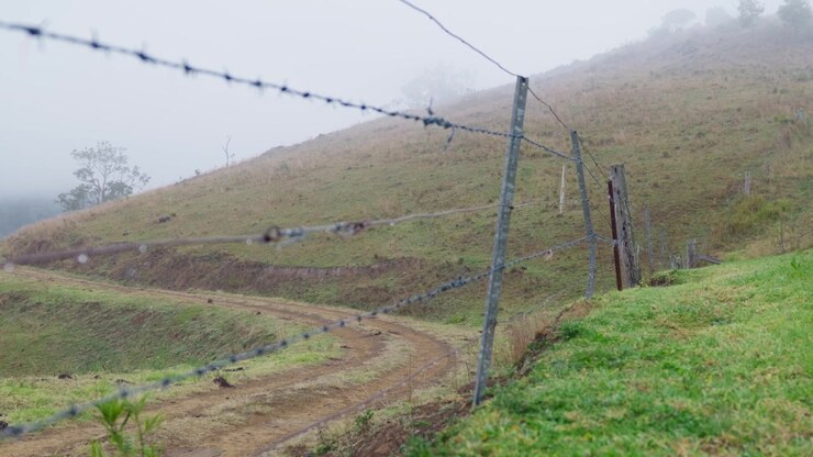 Recinzione di filo spinato che si estende attraverso il paesaggio in una giornata nebbiosa nella zona rurale del NSW, Australia. Scena di campagna suggestiva che rappresenta l'agricoltura, l'isolamento, i confini e la vita regionale.