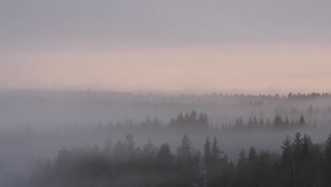 Wald-Im-Nebel-Oder-Dunst,-Mit-Blick-Auf-Die-Landschaft