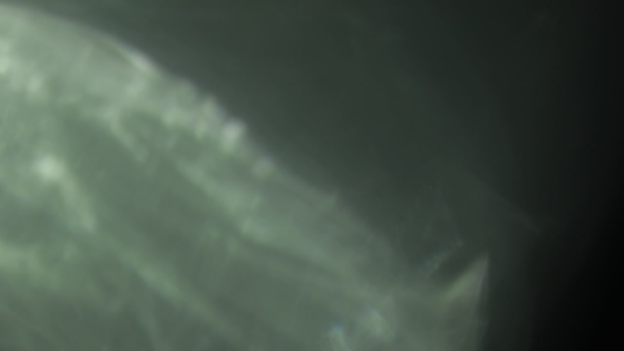 Light Leaks 4K Footage for different events and projects. Transition overlays