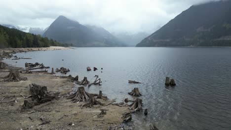 scenic lake surrounded by mountains on a cloudy day. shore with tree stumps. spring. jones lake, british columbia, canada.