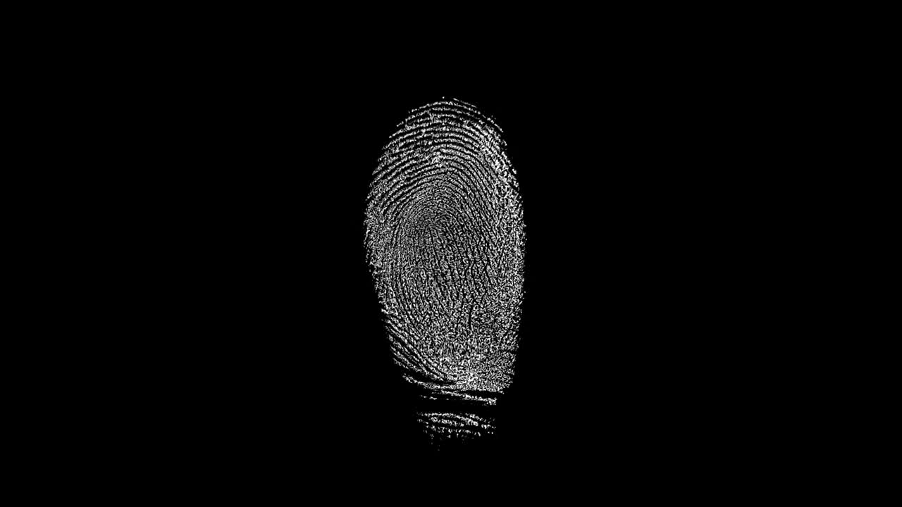 Fingerprint Database Scan