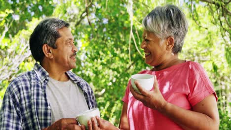 Senior-couple-interacting-while-having-coffee-in-park