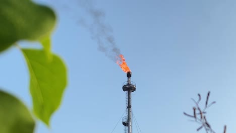 Ölraffineriefackel-Schornsteinfeuer-Wird-Von-Blättern-Und-Gras-Auf-Dem-Boden-Umrahmt