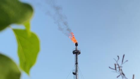 Oil-refinery-flare-smoke-stack-fire-is-framed-by-leaves-and-grass-on-the-ground