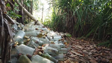 toma a la altura del suelo de la jungla india y desechos de plástico y vidrio arrojados en un bosque natural de andamán