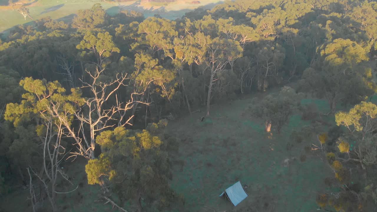 오시 부시 (aussie bush) 에 있는 파이오니어 스타일의 타프  ⁇ 터 오두막의 항공 영상