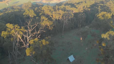 aerial footage of a pioneer style tarp shelter hut in the aussie bush