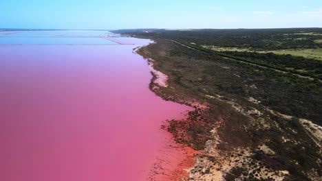 los famosos lagos rosas de australia occidental - laguna hutt