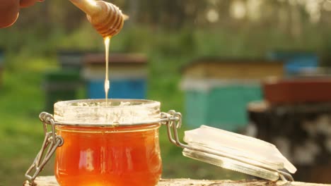 honey extraction