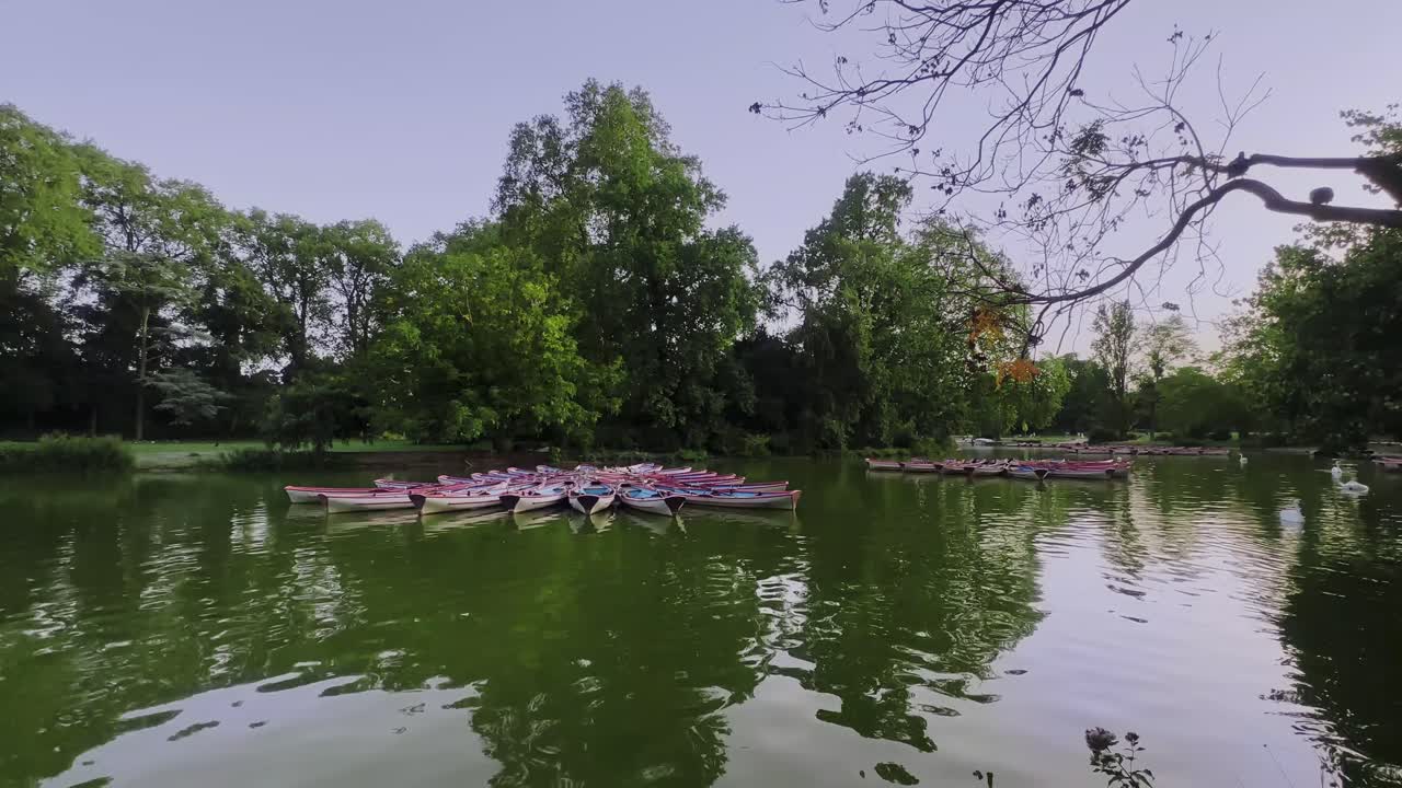 un hermoso día en el lago daumesnil, vincennes con barcos y árboles