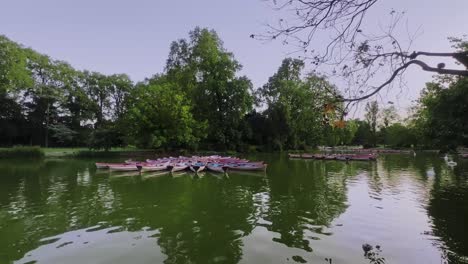 a beautiful day at daumesnil lake, vincennes with boats on and trees