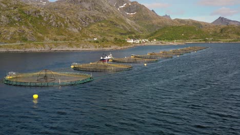 imágenes aéreas de granjas de pesca de salmón en noruega