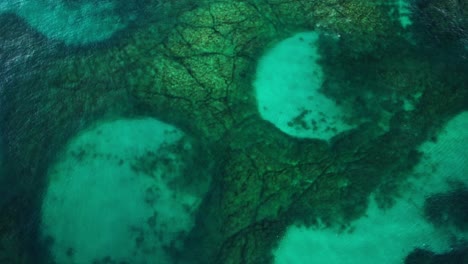 drone shot over seascape and coral reefs in nsw, australia