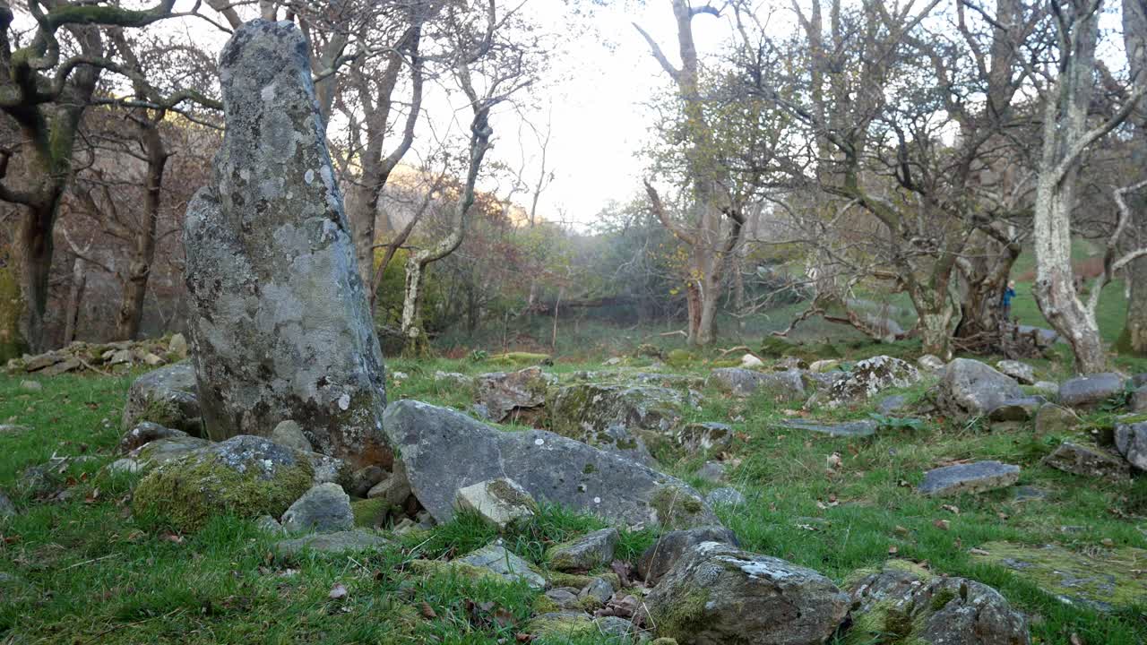 misterioso bosque antiguo círculo de piedra atracción turística monumento dolly izquierda