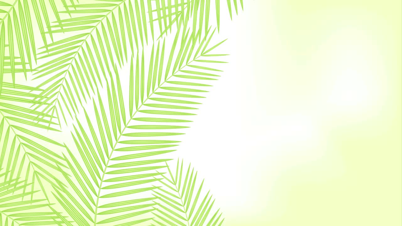 Coconut palm leaves frame moving by the wind looping and copy space animation 4K on blur green background with alpha channel