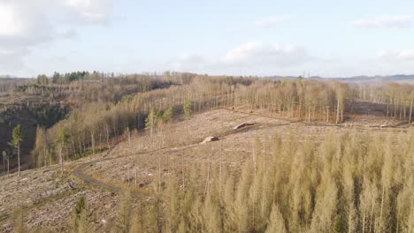 Exploration-shot-showing-the-impact-that-deforestation-has