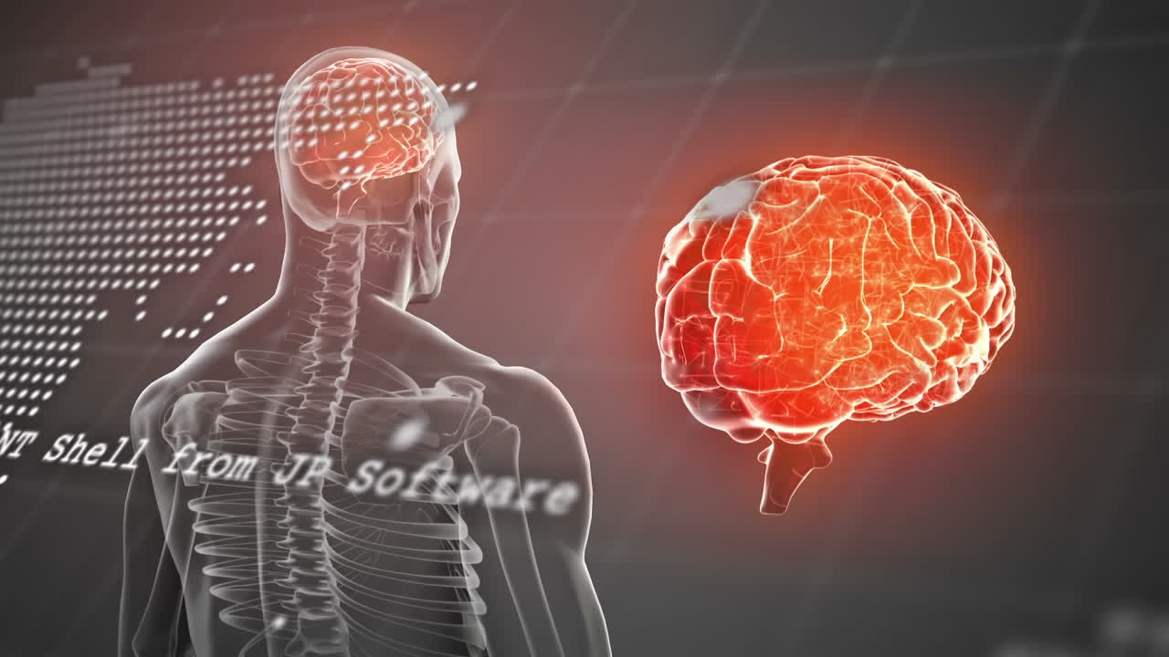 animación del mapa del mundo, procesamiento de datos sobre el modelo del cuerpo humano y el cerebro girando sobre fondo azul