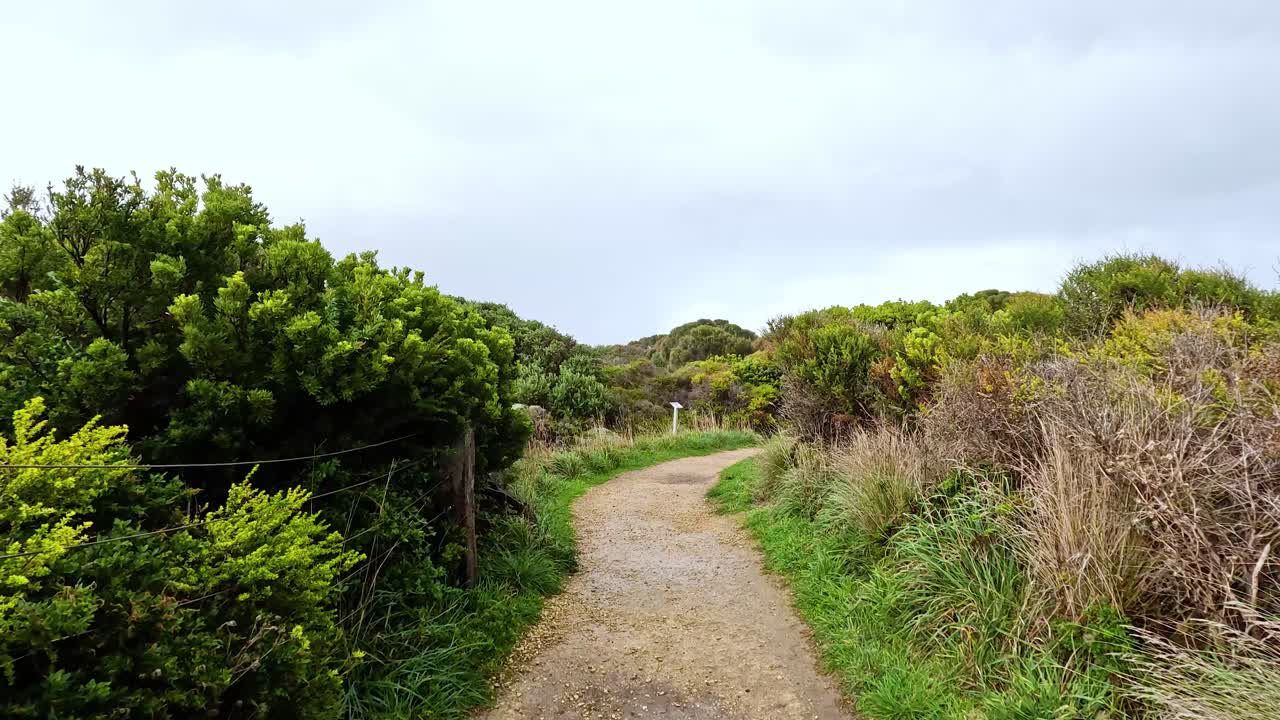 울창 한 초록색 과 휘어지는 길 을 걸어다니는 것