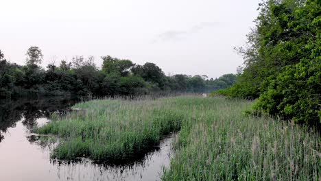 peaceful view over calm river in marshy grass during sunset