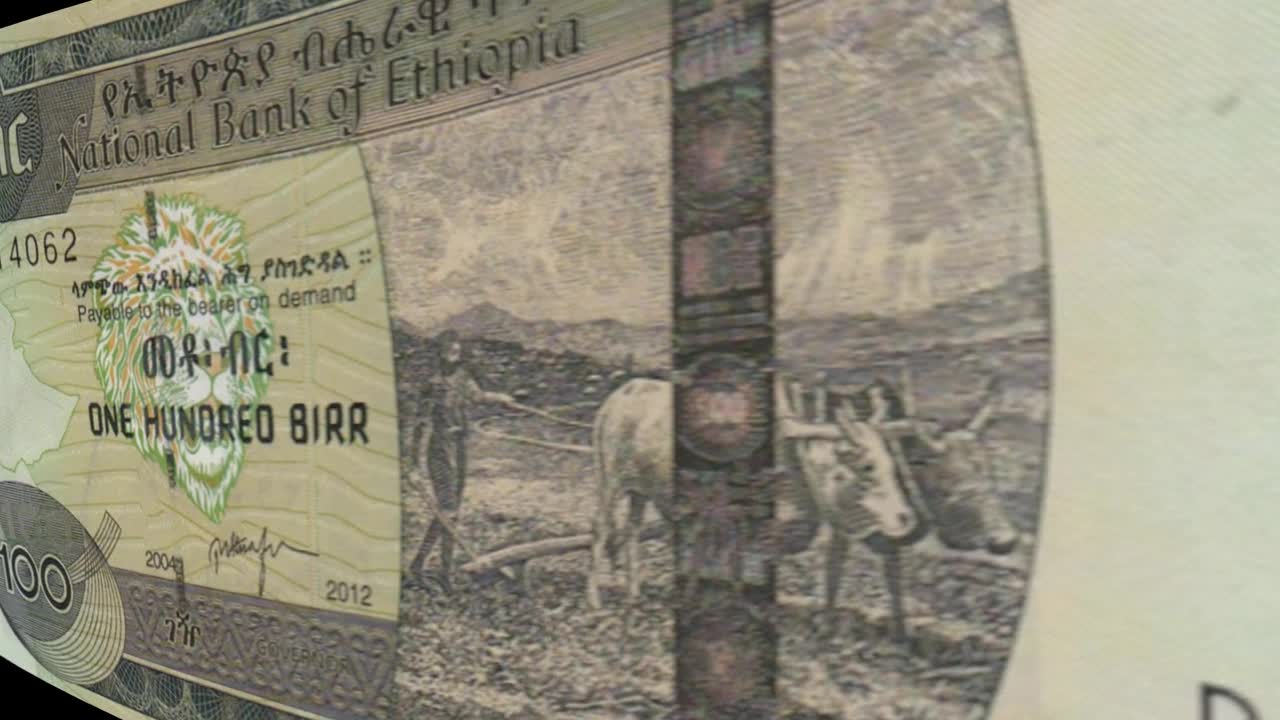 Ethiopian 100 Birr Banknote