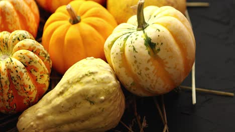 Heap-of-pumpkins-with-hay