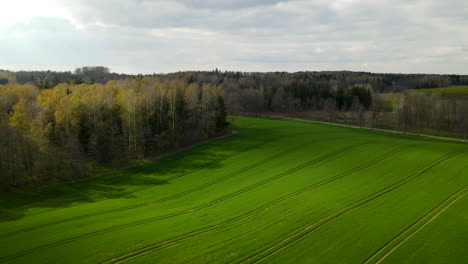 Vuelo-Aéreo-Sobre-Un-Hermoso-Campo-Verde-En-Medio-De-Bosques-En-Un-Día-Soleado