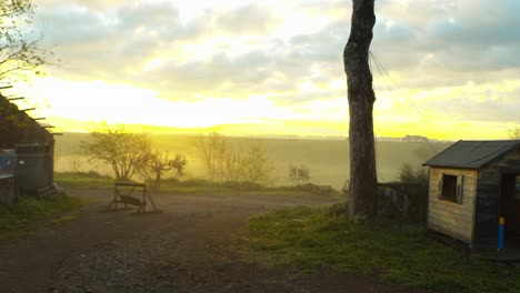 view of a dog bed in the countryside at sunrise in the rome countryside