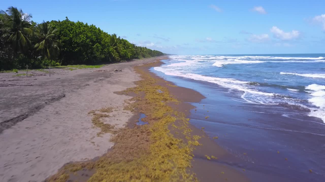 Un drone se déplaçant rapidement au-dessus de la côte de Tortuguero au Costa Rica, avec des vagues se brisant sur la plage de sable