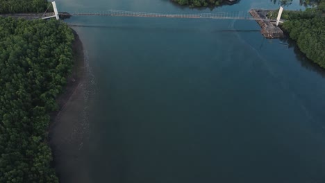 Bridge-over-the-ocean-surrounded-by-mangroves-Manito,-Albay,-Philippines