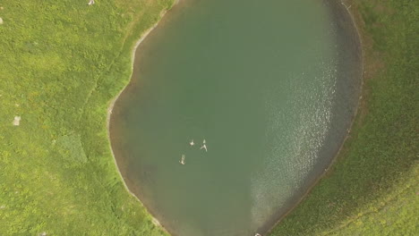 Wanderer-Gehen-über-Einen-Kleinen-See-Auf-Einer-Bergwiese-Schwimmen