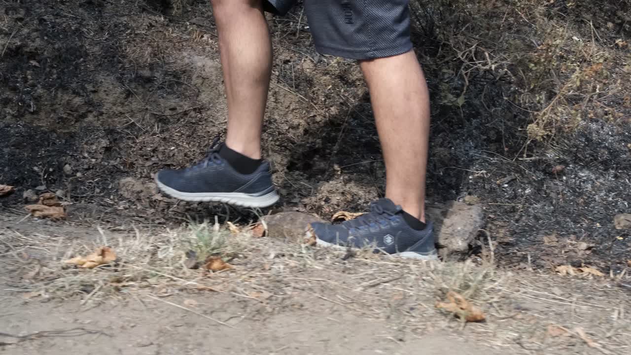 pie en el terreno de la deforestación