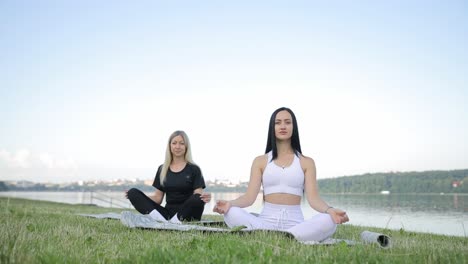 exercise and training with a female yogi and friend outside on a grass field for a summer workout exercise and training with a female yogi and friend outside on a grass field for a summer workout friends enjoy relaxing yoga outdoors in the park