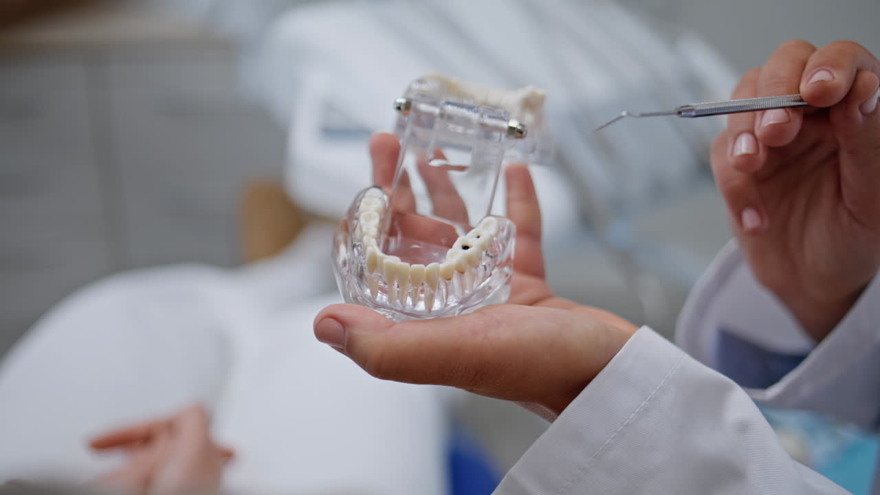 Closeup dentist using dental model to explain oral cavity problem in stomatology