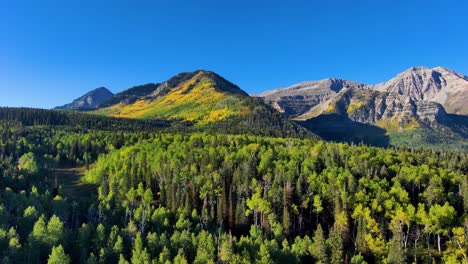 aspens turn yellow in early autumn on the high mountain slopes of utah - aerial view