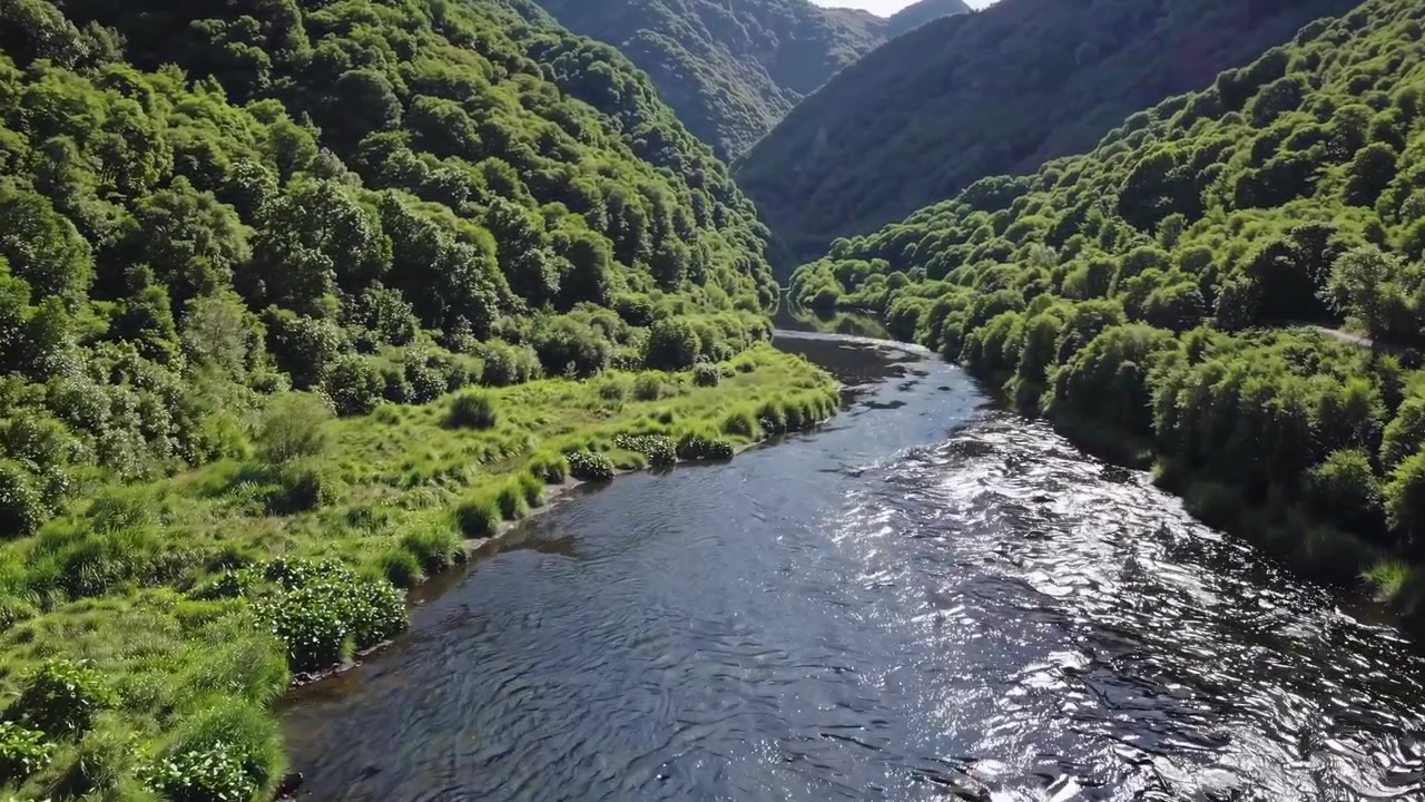 Vista aerea di un fiume che scorre attraverso una rigogliosa valle verde