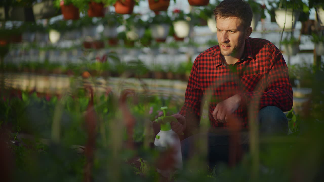 Farmer Spraying Plants in Greenhouse