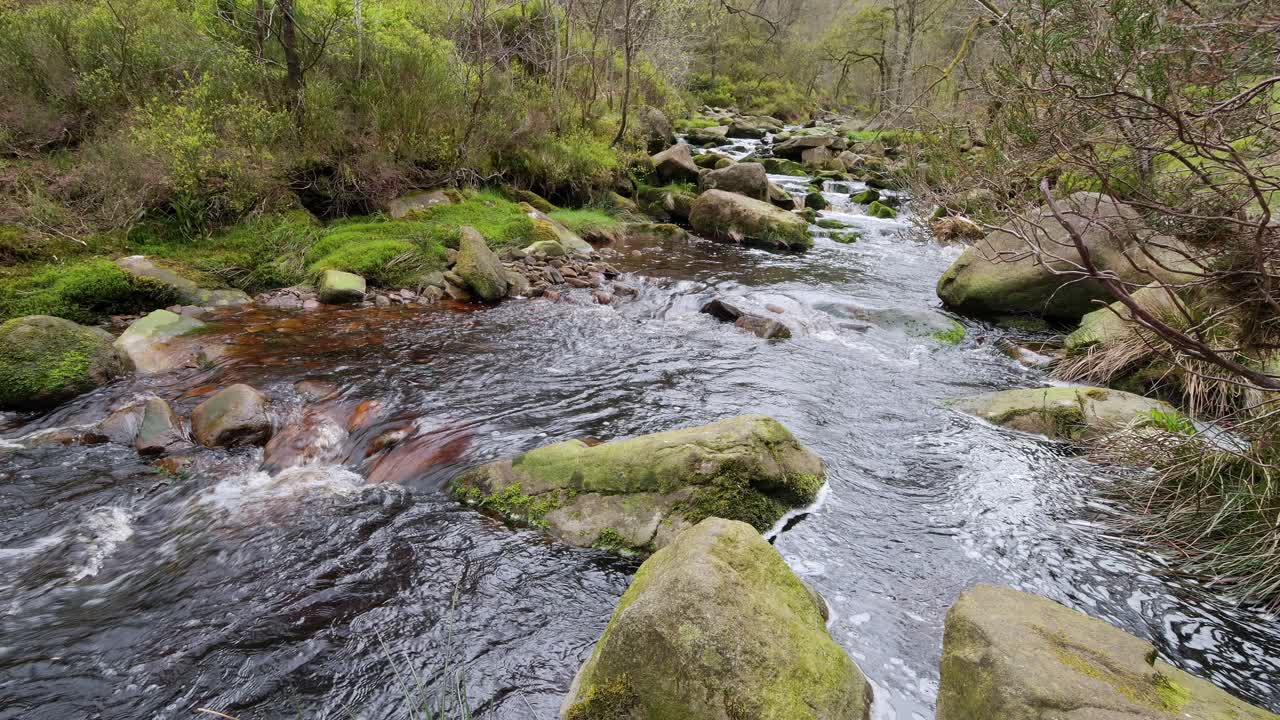 Slow moving forest stream waterfall, nature's serenity scene with tranquil pool below, lush greenery and moss-covered stones, sense of peacefulness and untouched beauty of nature in forest ecosystem