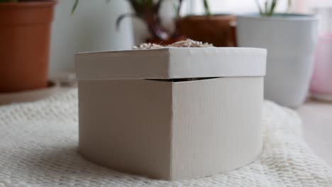 gatos escoceses bonitos sentados en una caja de regalos blanca