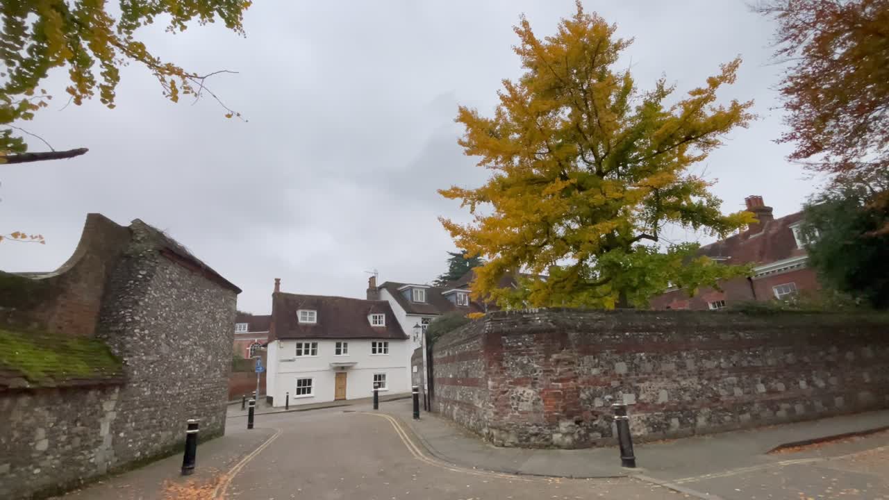 Un'inquadratura statica ampia cattura un'affascinante strada vuota a Winchester, Inghilterra, fiancheggiata da edifici storici e da un albero di ginkgo di un giallo vivace sotto un cielo coperto.
