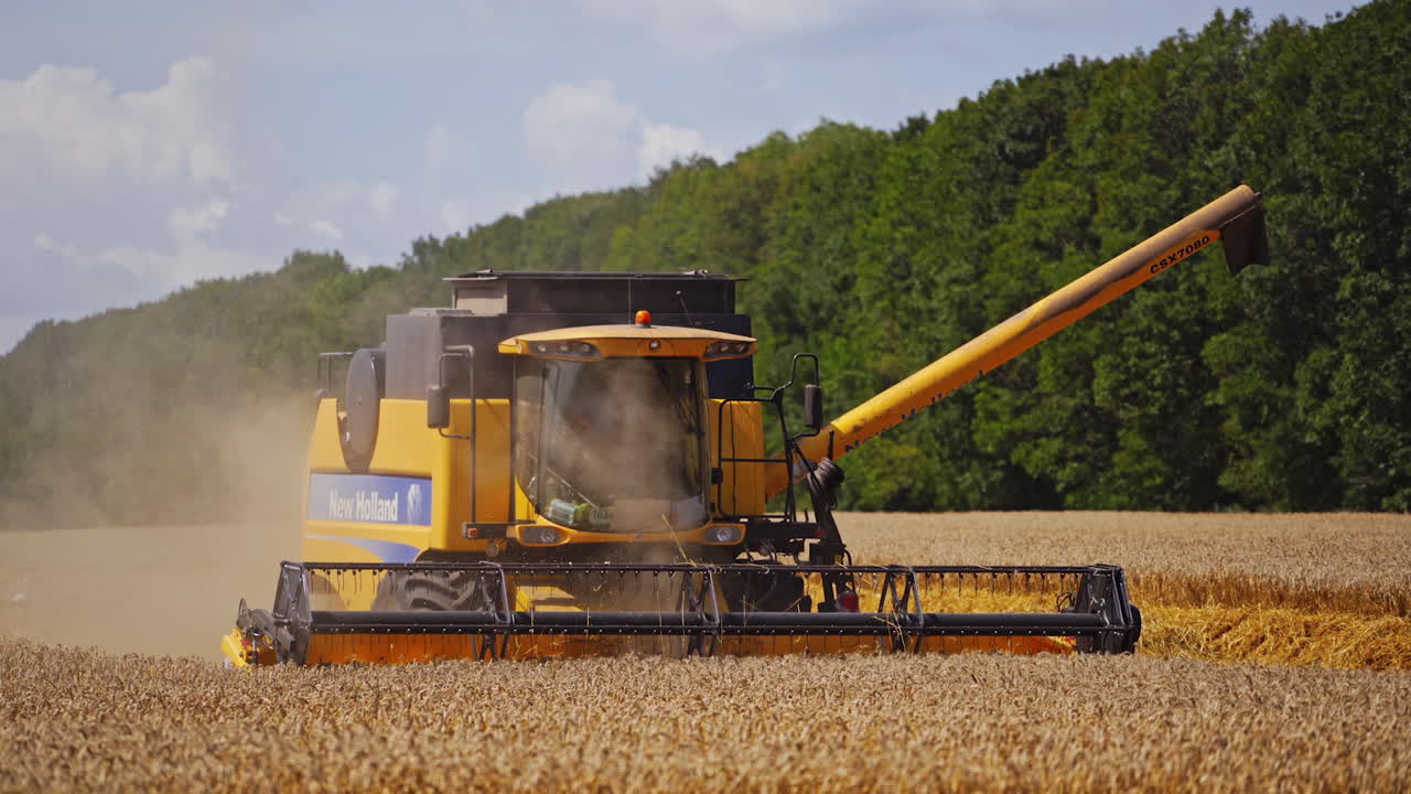 Harvester machine on wheat field. Agricultural cereal harvest with combine harvester