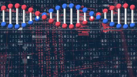 Animation-of-data-processing-and-dna-strand-over-dark-background