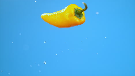 Single-yellow-bell-pepper-chili-jumping-in-shot-with-water-droplets