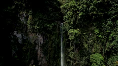 rising from dense tropical jungle of philippines revealing katibawasan waterfall