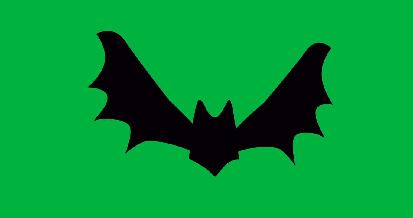 Silhouette animata di pipistrello nero che sbatte le ali su schermo verde